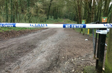 Items discovered in Tina Satchwell search site sent for forensic testing