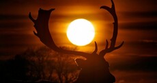 Good morning! Here's some beautiful images to start your day