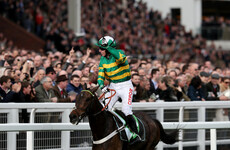 Let our foolproof quiz pick your Champion Hurdle horse