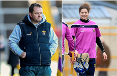 'Mags D'Arcy and Davy Fitzgerald are a tremendous fit:' Ex-Wexford boss backs backroom appointment