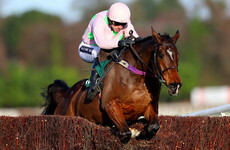 This quartet could have you jumping for joy on day two of Cheltenham
