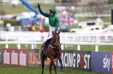 Mixed results for Ruby and Mullins on the opening day at Cheltenham
