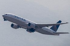 'A tragic accident': Dog dies in United Airlines overhead bin