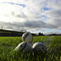 Waterford hurlers set to play 'home' games at a neutral venue