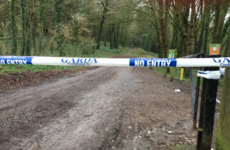 Gardaí complete search of woodland area in Tina Satchwell investigation