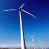 Fáilte Ireland raised concerns with Doonbeg wind farm months after Varadkar email
