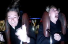 A Republic of Ireland footballer had an unholy meltdown on a rollercoaster, and we get it
