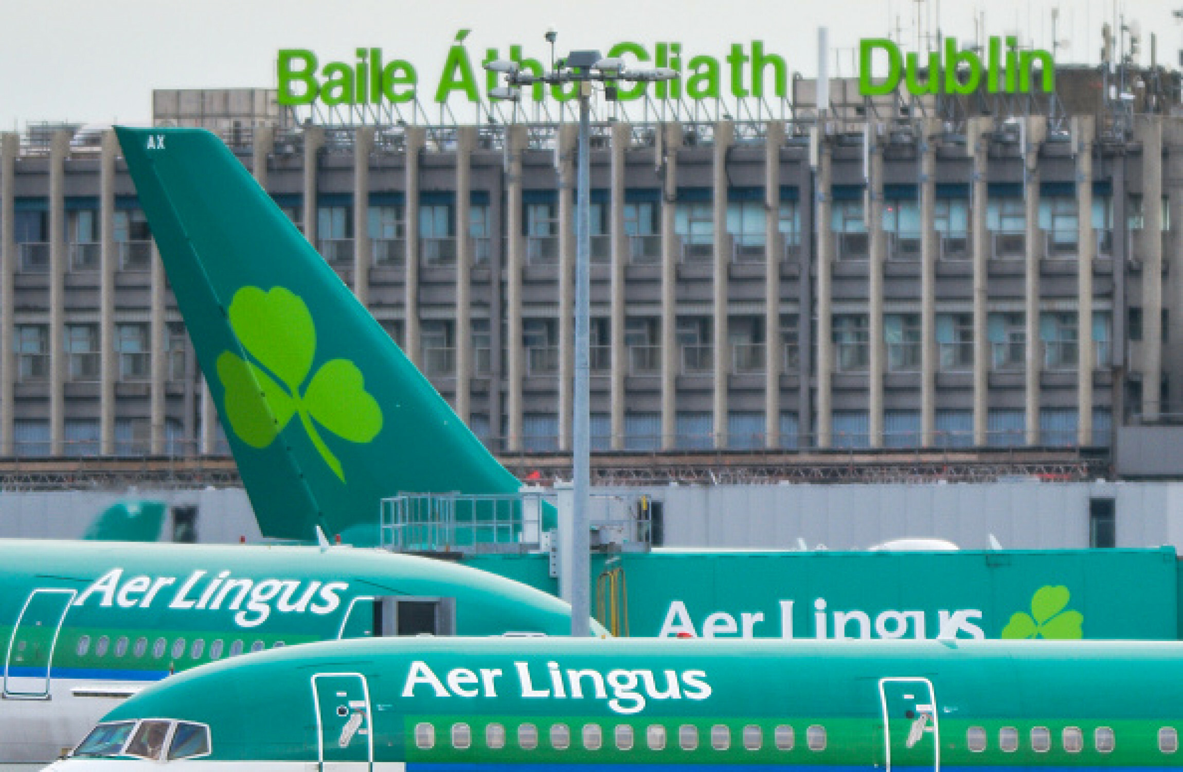 aer lingus baggage compensation