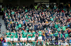 The Volkswagen Irish Rugby Fan of The Year has been chosen