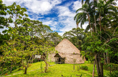 Parts of the Amazon thought uninhabited were actually home to up to a million people