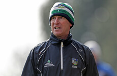 Limerick camogie boss steps down ahead of championship due to work commitments