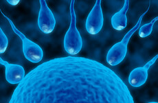 Opinion: 'Corporate egg freezing is a great idea for the women who want that option'