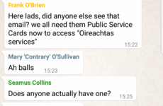 TDs and senators face Leinster House lockout unless they get Public Services Card
