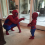 Spider Dad and Spider Lad, don't let Mam on Facebook and more tweets of the week