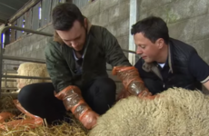 From Spring calving to farming technology - Big Week On The Farm is returning to our screens