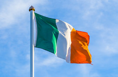 Poll: Would you like a vote on Irish unity within five years?