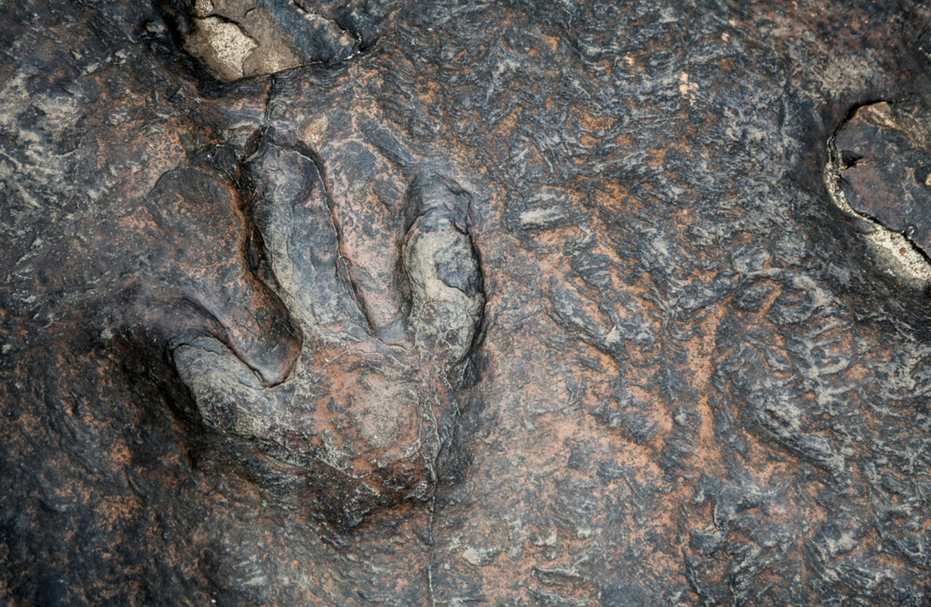 170 millionyearold dinosaur footprints discovered on Scotland's Isle