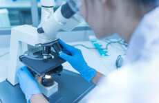 Newly discovered organ could play a role in the spread of cancer