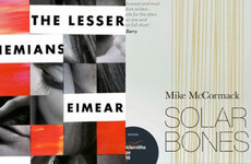 Two Irish novels shortlisted for literary award worth €100,000