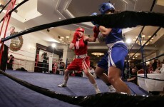 Show time: Irish boxers ready for historic night against Holland