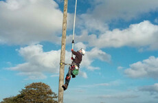 Both sides of referendum campaign asked not to put signs on electricity poles
