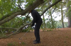 Phil Mickelson had a fresh air when trying one of his trademark escape shots