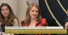 What the Eighth Amendment Committee heard and the recommendations it made