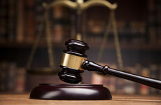 Two Vietnamese men smuggled into Ireland to work in cannabis growhouse jailed