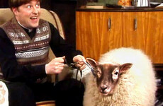 Quiz: How much do you know about Irish TV?