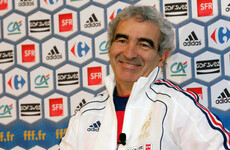Ex-France boss Raymond Domenech says he's interested in managing Ireland