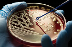 26 people have been hit with a superbug in the last four weeks
