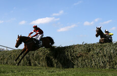 Davy Russell steers Tiger Roll to dramatic Grand National win at Aintree