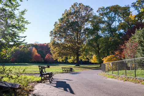 A stock photo of Brooklyn's Prospect Park.