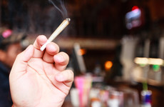 Green Party wants to bring Amsterdam-style cannabis coffee shops to Ireland