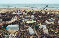 Scientists have accidentally created a mutant enzyme that eats plastic