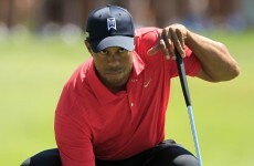 Tiger back in the swing as G-Mac denied