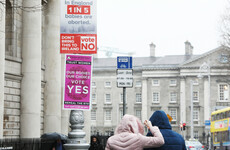 Dublin City Council has received 30 complaints about referendum posters