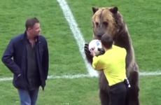 Russian football team criticised for using bear to present referee with the match ball