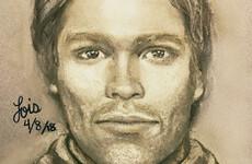 Stormy Daniels unveils sketch of man she says threatened her to stay quiet about Trump