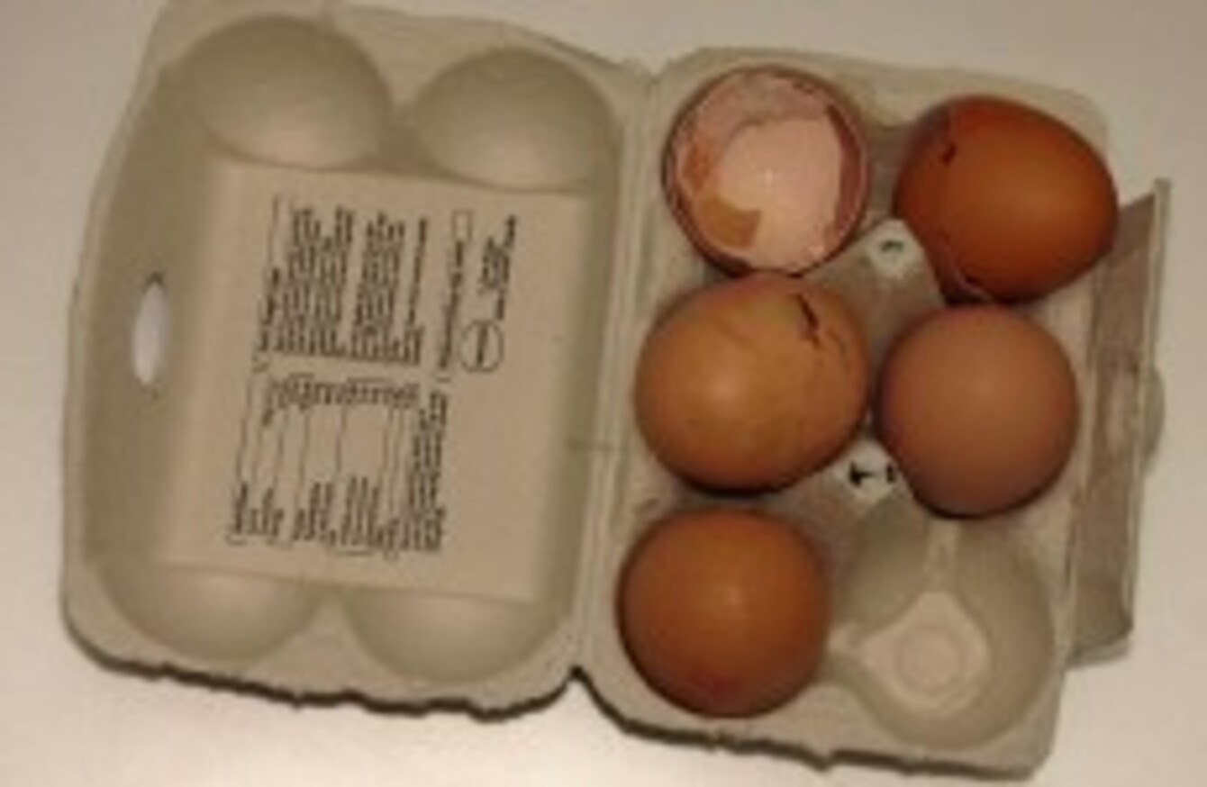 At least 24 people killed or badly wounded in NYC over eggthrowing