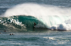 Shark fears cancel elite surf competition in Australia