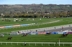 Horse dies at Cheltenham as UK temperatures soar to record levels