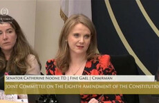 Almost half of voters want to repeal Eighth Amendment