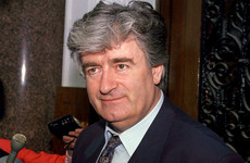 Radovan Karadzic begins appeal against conviction for genocidal 'campaign of terror'