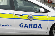 Two men arrested and €250,000 worth of drugs seized in garda gangland raids