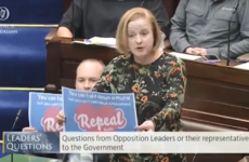 'Tell me what's offensive about this': Ruth Coppinger holds up Repeal sign in Dáil chamber