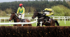 Elliott's Storyteller gifted big Punchestown win in one of the most bizarre finishes you'll see
