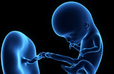 Pregnancy timeline: When does the heart, brain, and face form?