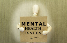 'Mad, loony, mental, psycho or schizo': Behind every mental health diagnosis is a person
