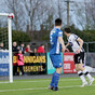 'The second half was a capitulation': Embarrassed Pat's vow to pick themselves up for derby